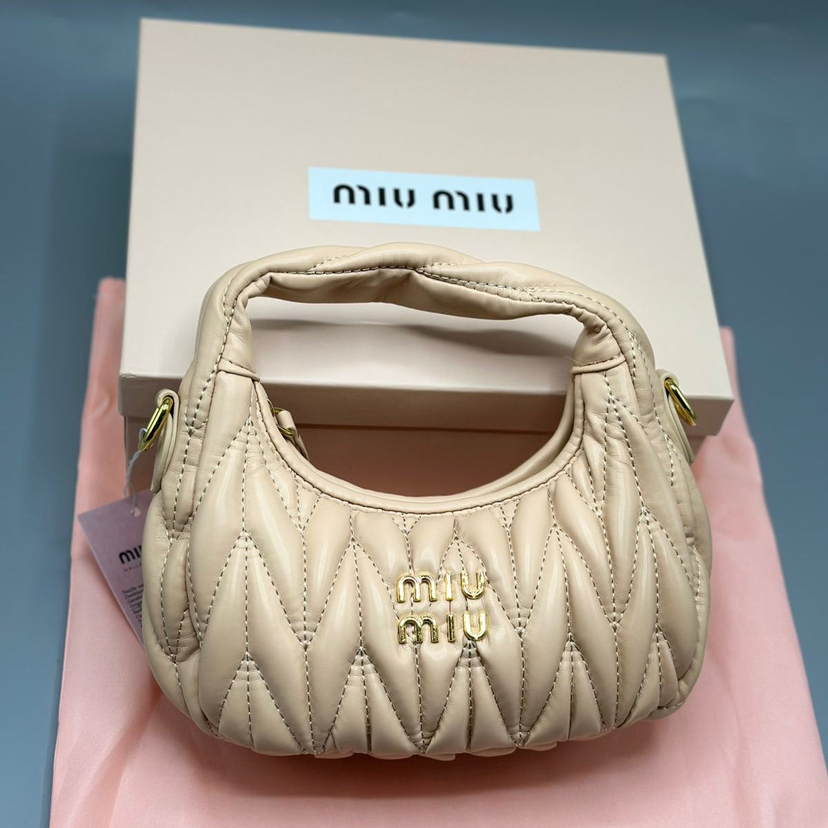 Miu Miu Wander Hobo Bag | Beige